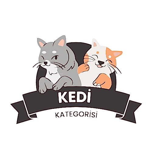 Kedi