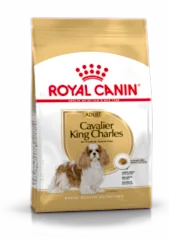 Royal Canin Cavalier King Charles 27 3 kg Yetişkin Köpek Maması