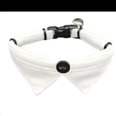 Jooys Kadife Zilli Fularlı Kedi Boyun Tasması