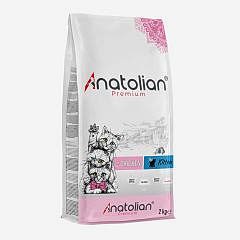 Anatolian premium Tavuk Etli Yavru Kedi Maması 10 Kg