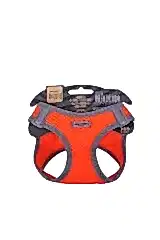 Havalı Dokuma Reflektör Küçük Irk Köpek Göğüs Tasması Xxsmall Turuncu 26-30 Cm - Petshopundan