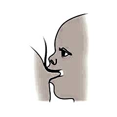 Eday Eds Emzirme Destek Sistemi Yedek Hortum ( 20 Adet)