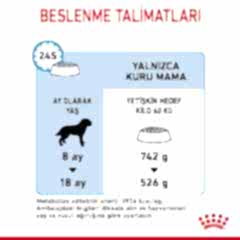 Royal Canin Giant Junior 15 kg Dev Irk Yavru Köpek Maması