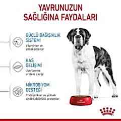 Royal Canin Giant Junior 15 kg Dev Irk Yavru Köpek Maması