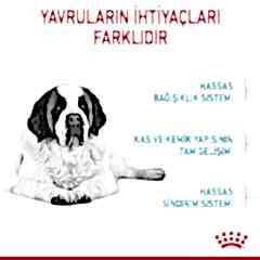 Royal Canin Giant Junior 15 kg Dev Irk Yavru Köpek Maması