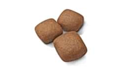 Royal Canin Giant Junior 15 kg Dev Irk Yavru Köpek Maması