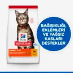 Hills Adult Optimal Care Tavuklu Yetişkin Kedi Maması