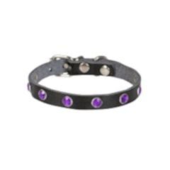 CATTİE TAŞLI DERİ KEDİ TASMASI SİYAH 1,5X26-31CM