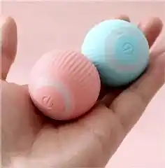 Interaktif Kedi Kopek Sarjli Oyun Topu