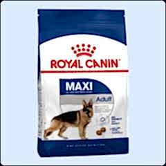Royal Canin Maxi Adult 15 kg Büyük Irk Yetişkin Köpek Maması