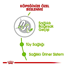 Royal Canin X-Small Adult 1.5 kg Yetişkin Köpek Maması