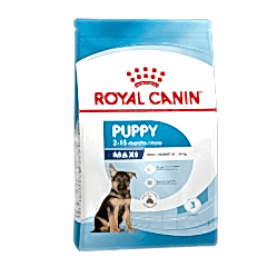 Royal Canin Maxi Puppy Büyük Irk Yavru Köpek Maması 15kg