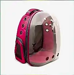 Cattie Yeni Şeffaf Taşıma Sırt Çantası Pembe 25x30x40 cm